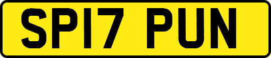 SP17PUN