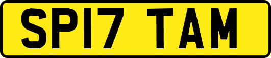 SP17TAM