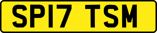 SP17TSM