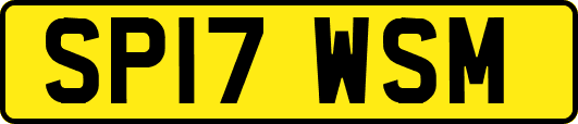SP17WSM