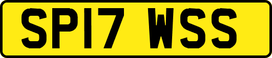 SP17WSS