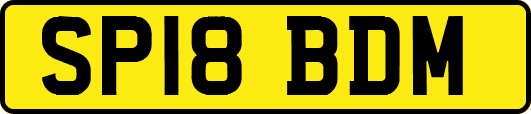 SP18BDM