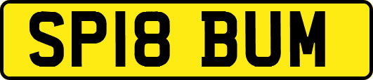 SP18BUM