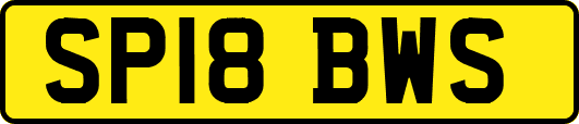 SP18BWS