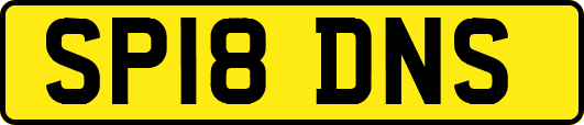 SP18DNS