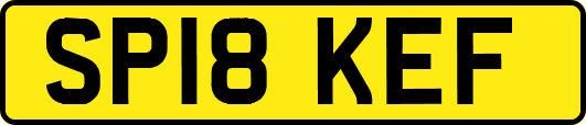 SP18KEF