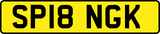 SP18NGK
