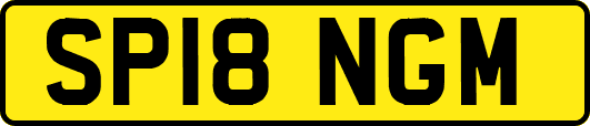 SP18NGM