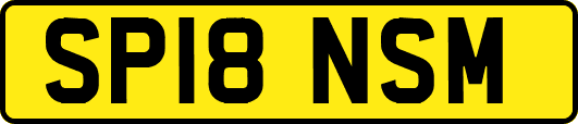 SP18NSM