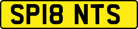 SP18NTS