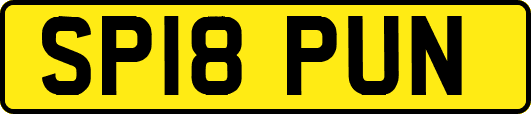 SP18PUN