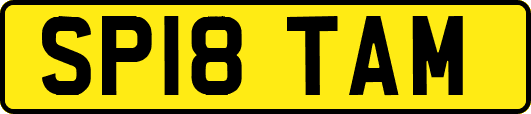 SP18TAM