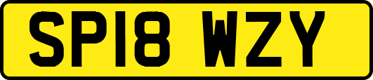 SP18WZY