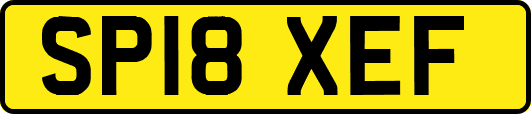 SP18XEF