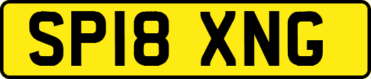 SP18XNG