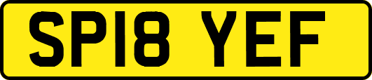 SP18YEF