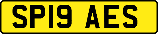 SP19AES