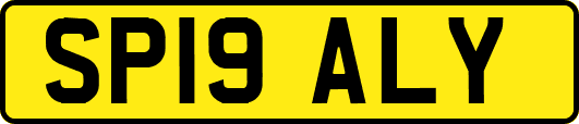 SP19ALY
