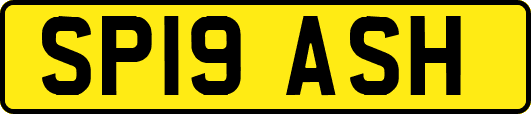SP19ASH