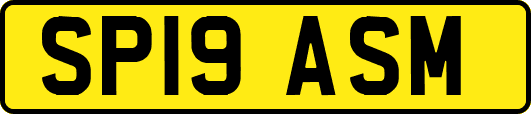 SP19ASM