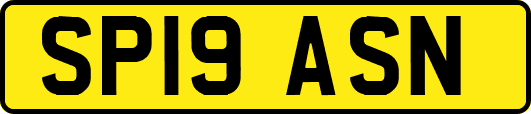 SP19ASN