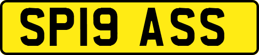 SP19ASS