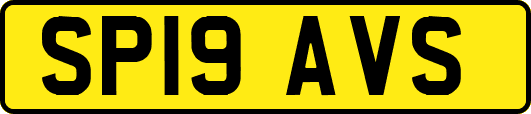 SP19AVS