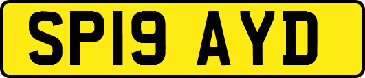 SP19AYD