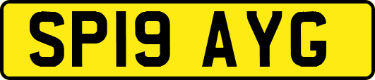 SP19AYG