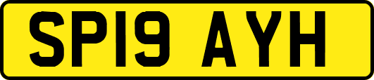 SP19AYH