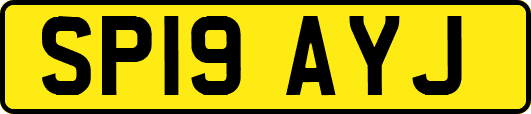 SP19AYJ