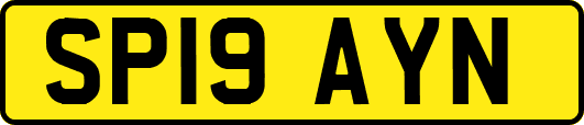 SP19AYN