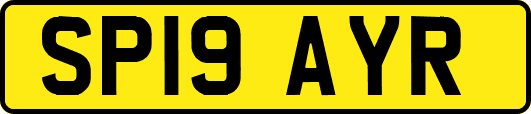SP19AYR