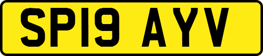 SP19AYV