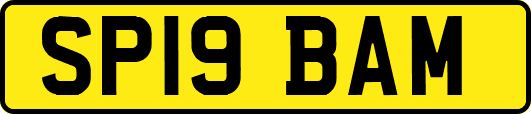 SP19BAM