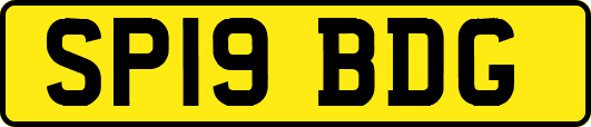 SP19BDG