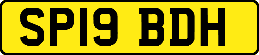 SP19BDH