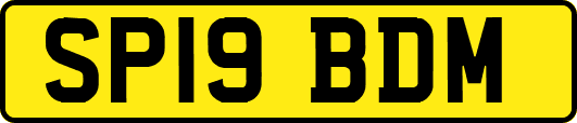SP19BDM