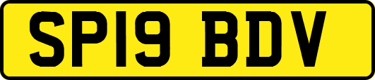 SP19BDV