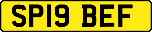 SP19BEF