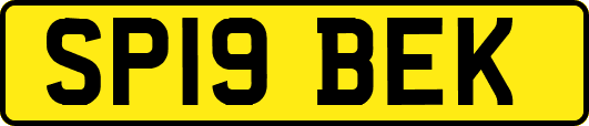 SP19BEK