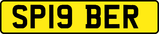 SP19BER