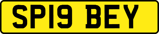 SP19BEY