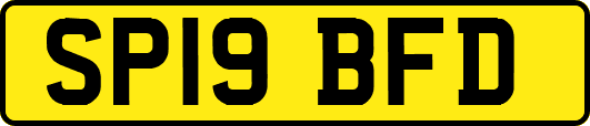 SP19BFD