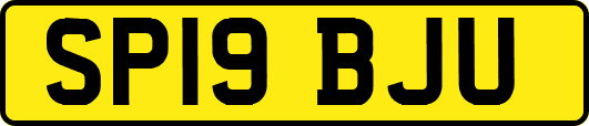 SP19BJU