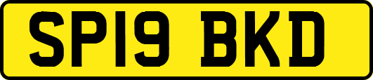 SP19BKD
