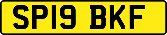 SP19BKF
