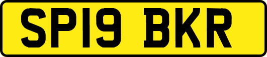 SP19BKR
