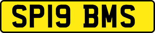 SP19BMS