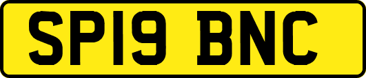 SP19BNC